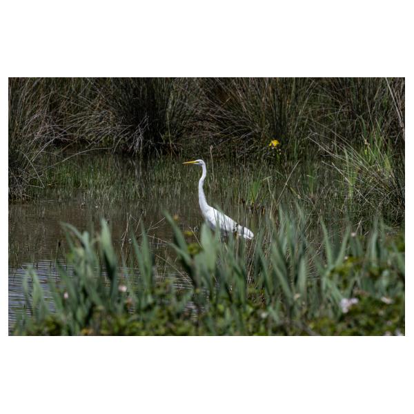 PHOTO84, CLUB, 84 , LUBERON